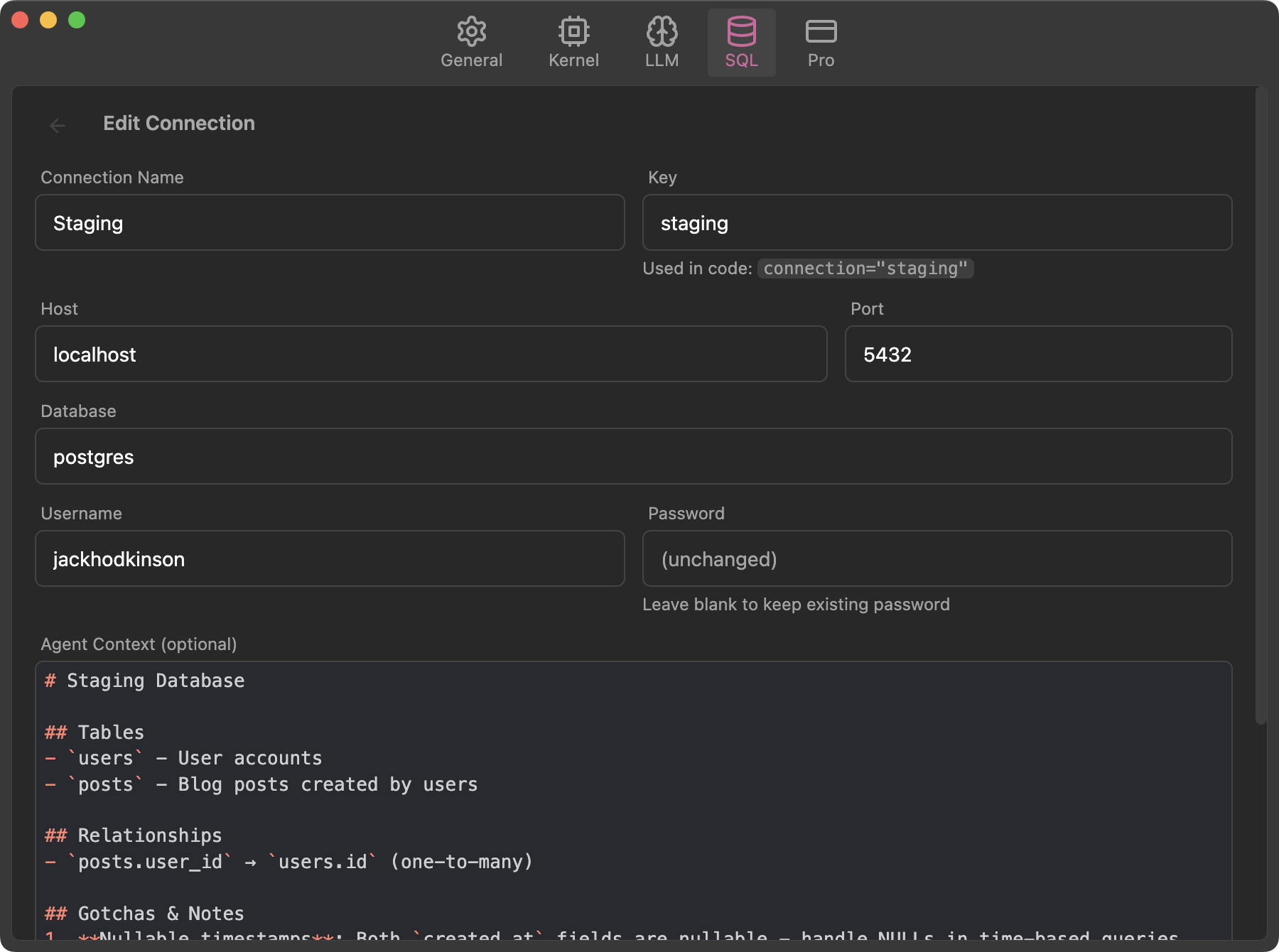 Satyrn SQL Agent Context Screenshot